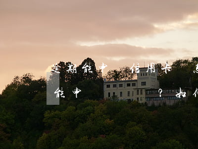 逾期能申請信用卡嗎怎么辦，信用卡逾期后還能申請嗎？如何解決？
